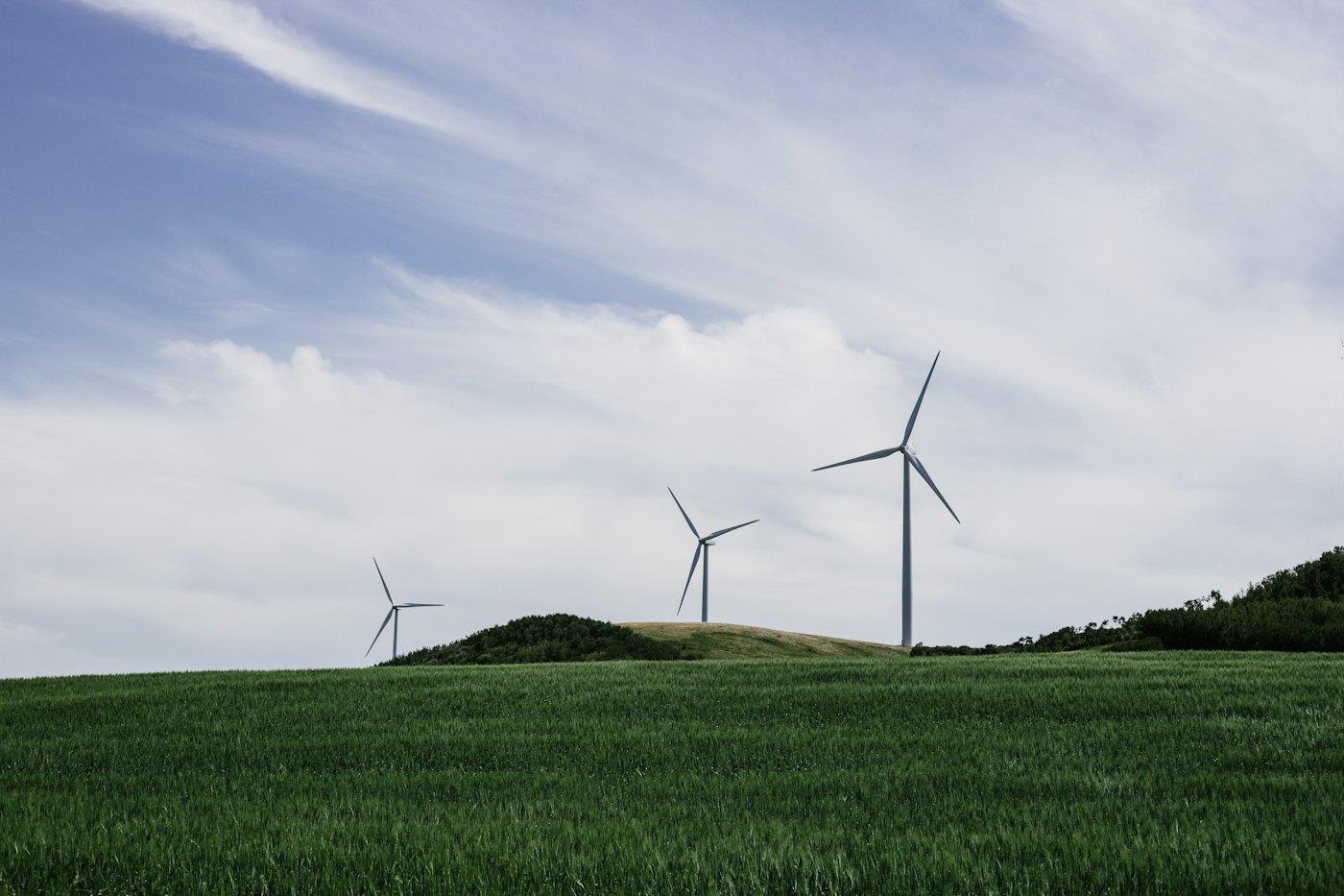 Windmolens in een groen landschap